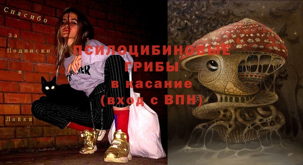 дурь Армянск