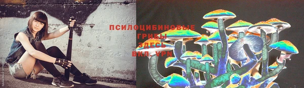 ПСИЛОЦИБИНОВЫЕ ГРИБЫ Аркадак