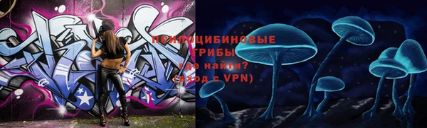 ПСИЛОЦИБИНОВЫЕ ГРИБЫ Аркадак